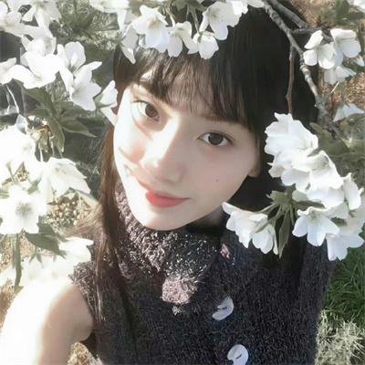 矮精灵历险记